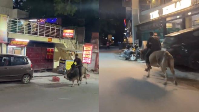 YUVAK VIDEO VIRAL