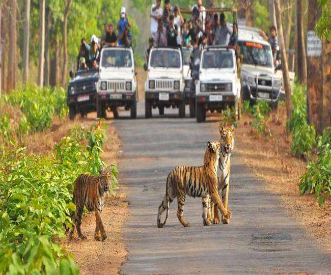 राजाजी टाइगर रिजर्व