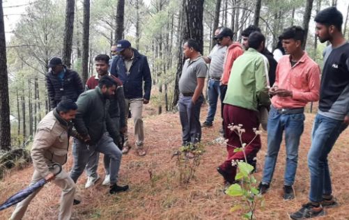 रानीखेत