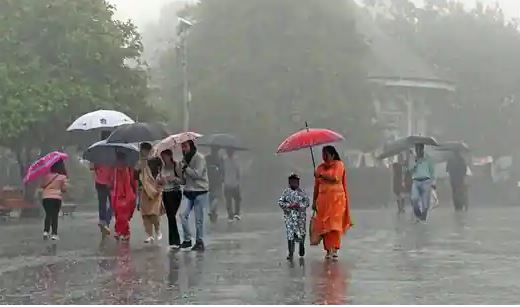 weather forecast