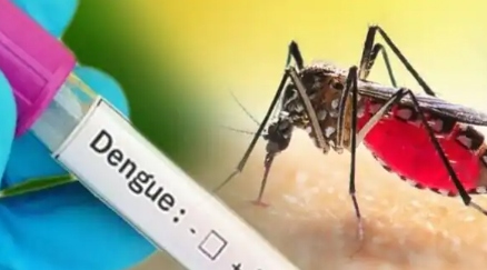 dengue