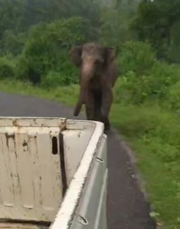 HATHI