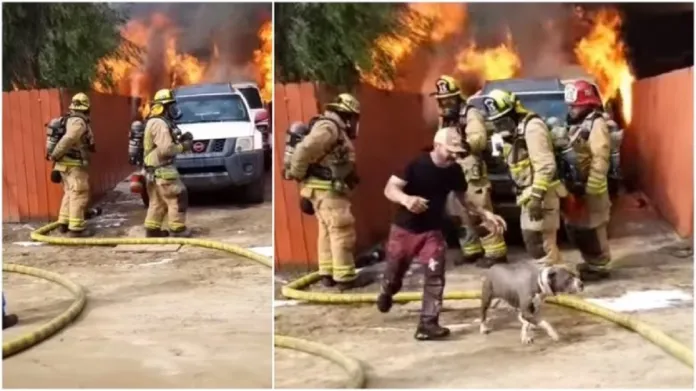 man-saves-his-dog