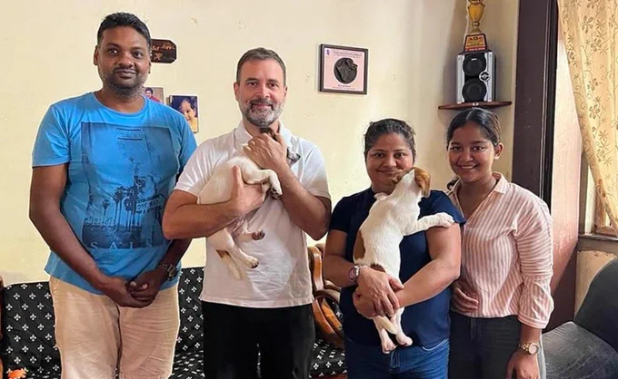 rahul gandhi with jack-russell breed dog