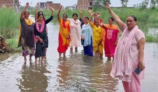 पानी