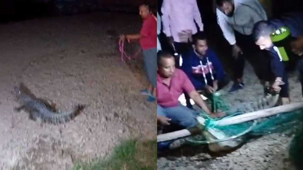 MAGARMACCH KO PAKDA सौंग नदी में घूम रहा था मगरमच्छ
