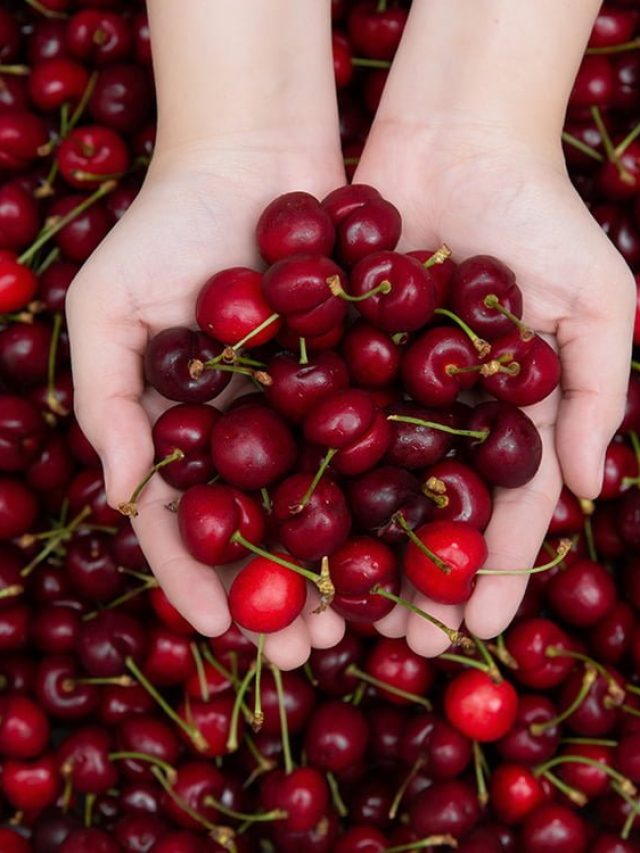 cherry_