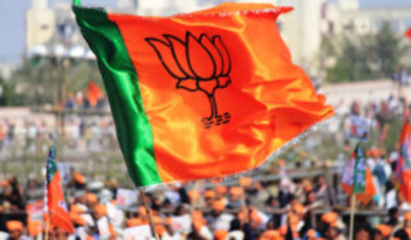 bjp flag (1)