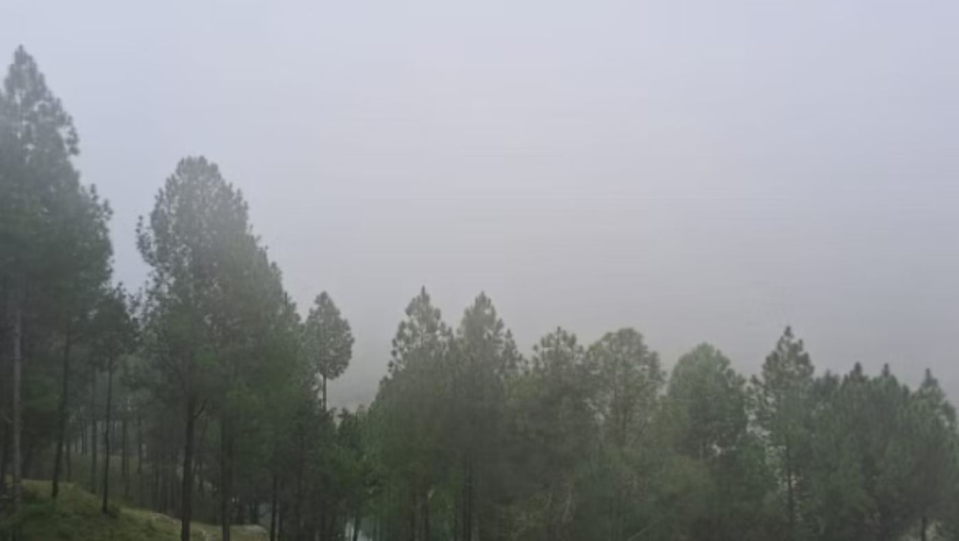 कोहरा छाया