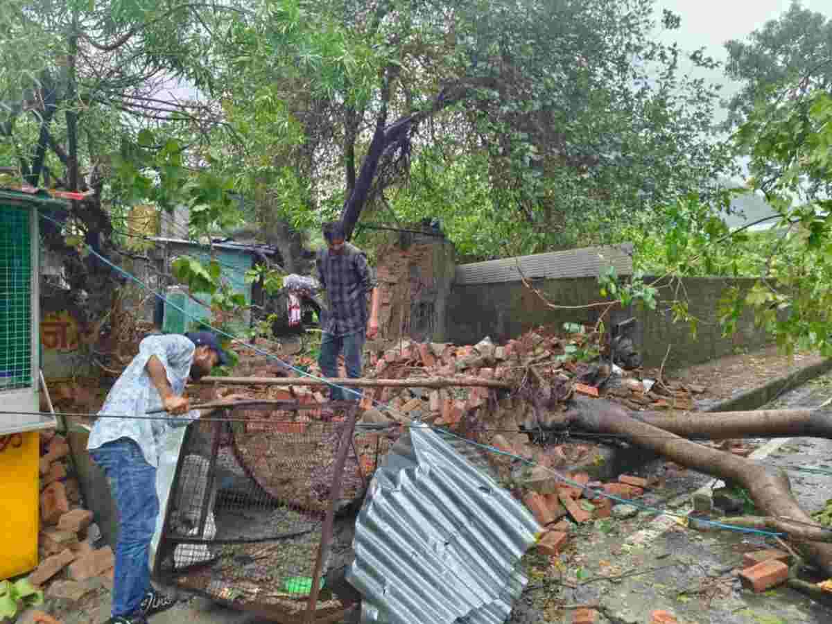 पेड़ गिरा दुकान पर हल्द्वानी