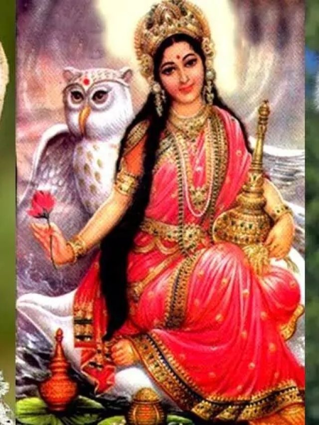 auspicious things sen on diwali indicate good fortune