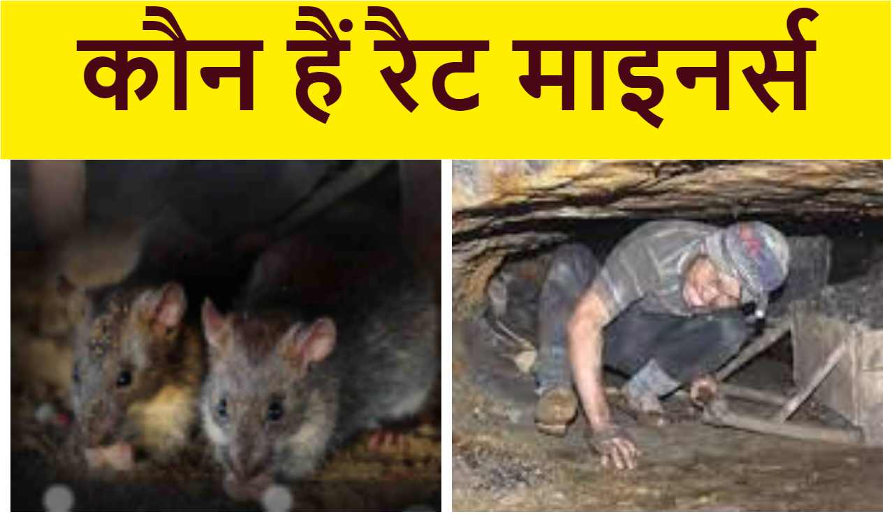 कौन हैं रैट माइनर्स ?