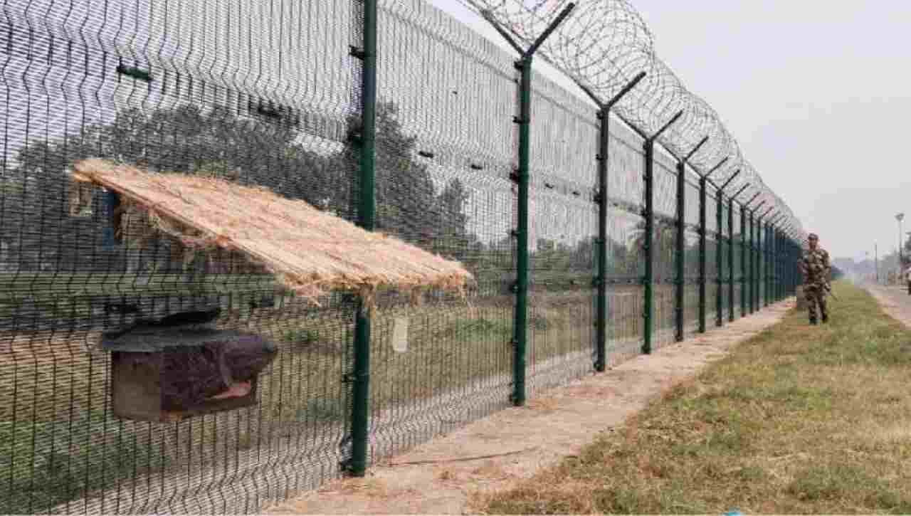 Bees will become protectors on India's border, will guard along with BSF