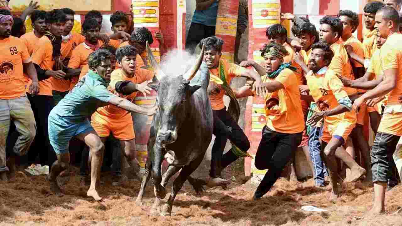 Pongal 2024