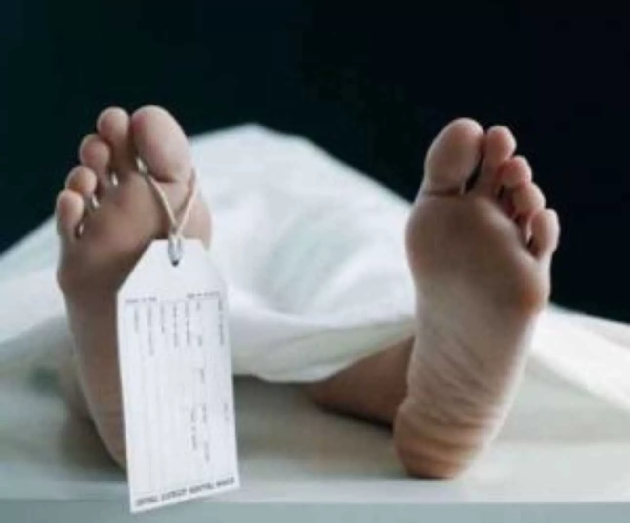 DEAD BODY