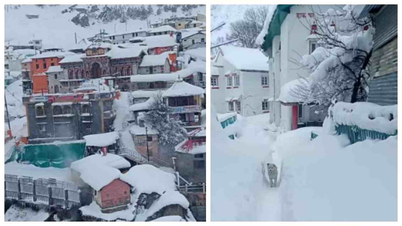 SNOWFALL BADRINATH