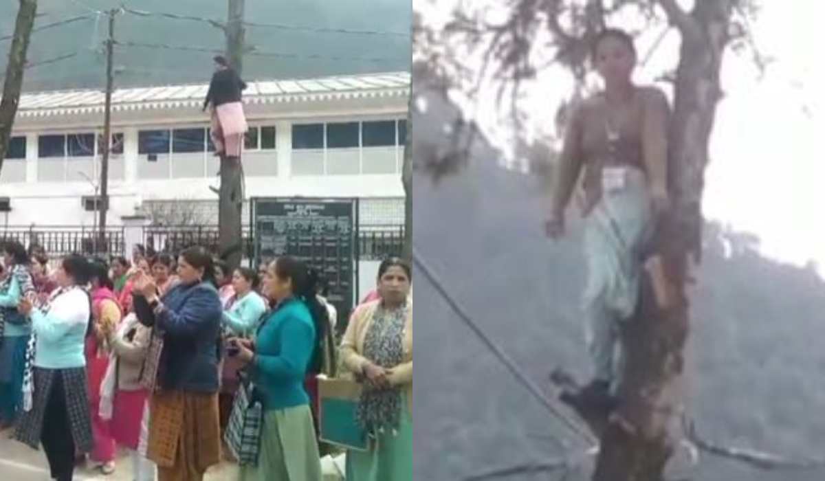 पेड़ों में चढ़ी आंगनबाड़ी कार्यकर्ता