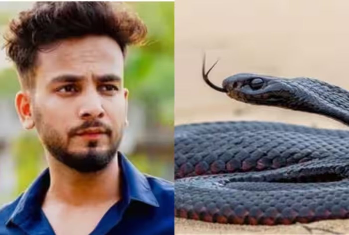 Elvish Yadav Snake Venom Case (1)