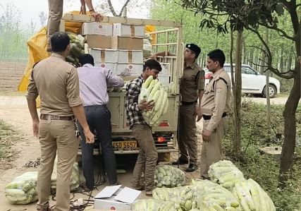 लोडर वाहन में सब्जी की आड़ में हो रही थी शराब तस्करी