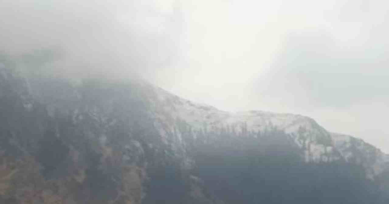 snowfall (1)
