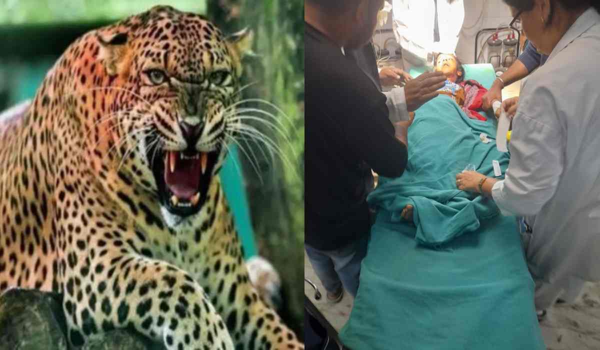 श्रीनगर में घर के आंगन से बच्ची को उठा ले गया गुलदार