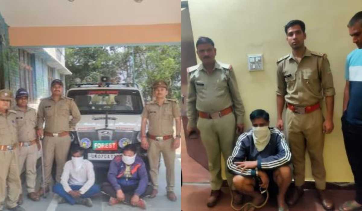 धधक रहे उत्तराखंड के जंगल, उजड़ रहे पक्षियों और जानवरों के रैन बसेरे, आग लगाने वाले तीन लोग अरेस्ट