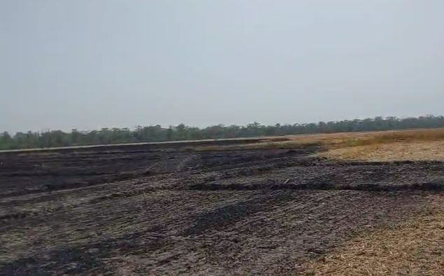 आग लगने से डेढ़ एकड़ गेहूं की फसल हुई जलकर राख