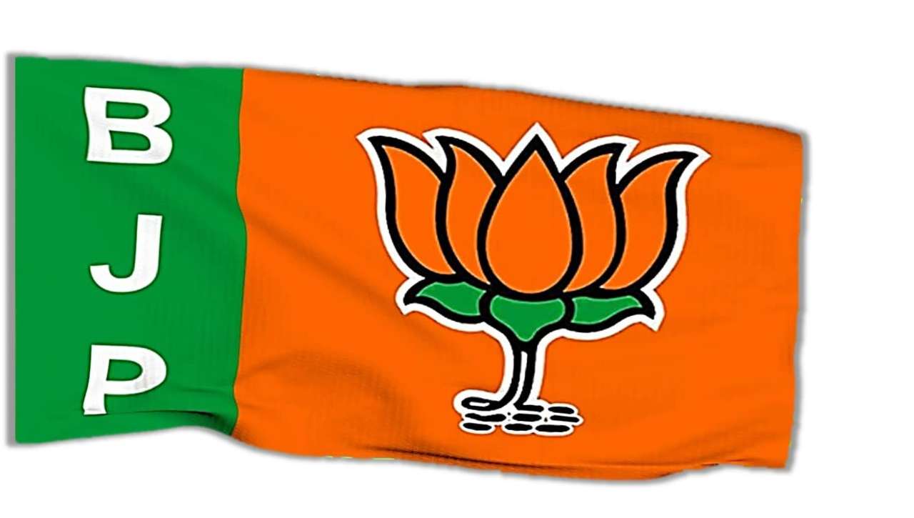 bjp flag
