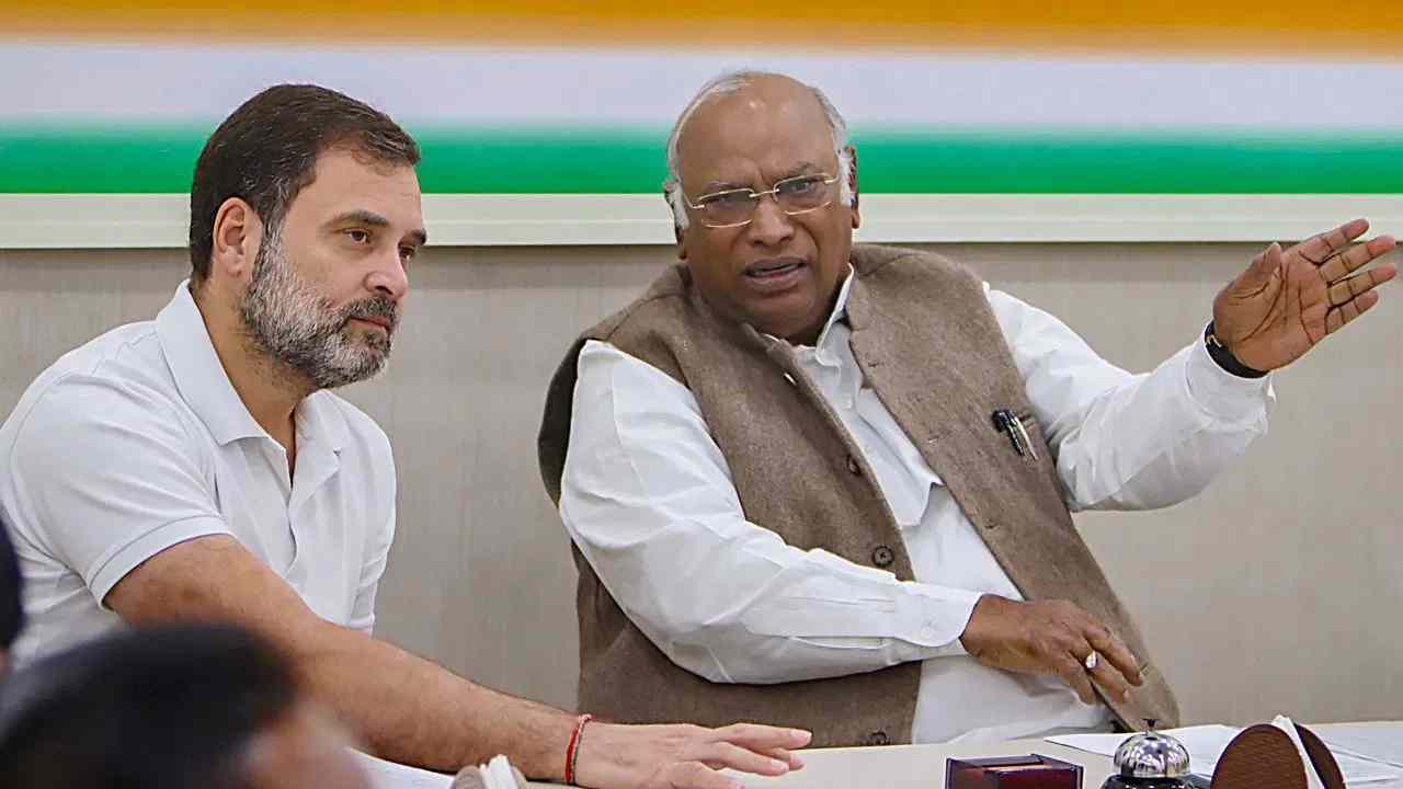 These promises can be in the manifesto of Congress with 5 justices and 25 guarantees.