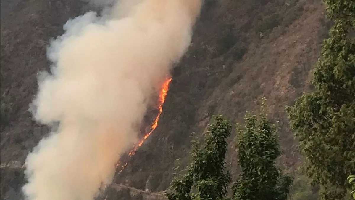 लोहाली में आग