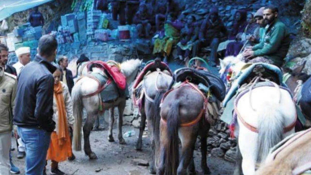 यात्रा मार्ग पर करंट लगने से घोड़े की मौत, संचालकों ने ऊर्जा निगम पर लगाया लापरवाही का आरोप