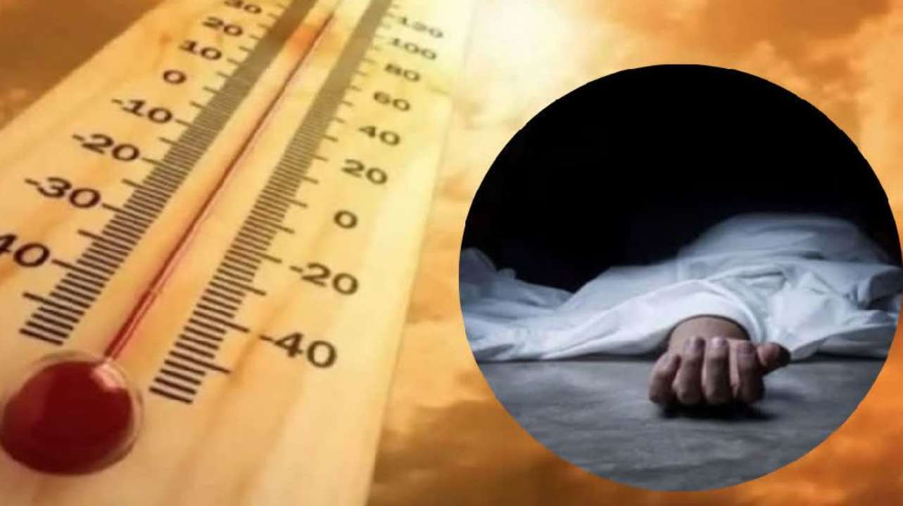 227 people died due to extreme heat and heat across the country