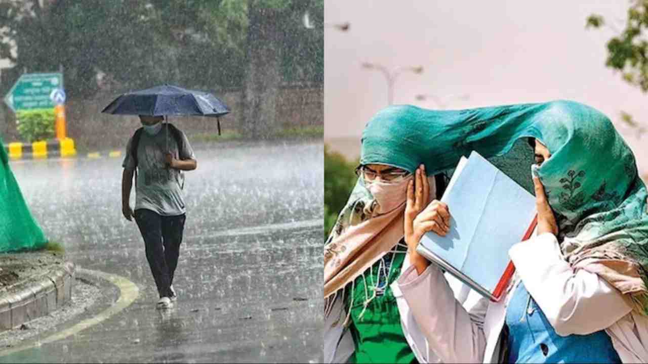 Read today's weather