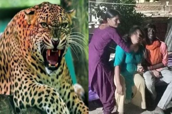 तीन साल के मासूम को उठा ले गया गुलदार, झाड़ियों में मिला शव