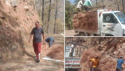 सीएम धामी की पहल लाई रंग, पहाड़ी इलाकों में ग्रामीण एकत्रित कर रहे पिरूल