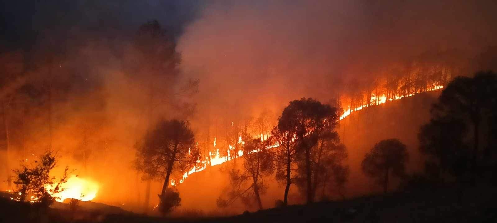 uttarakhand forest fire