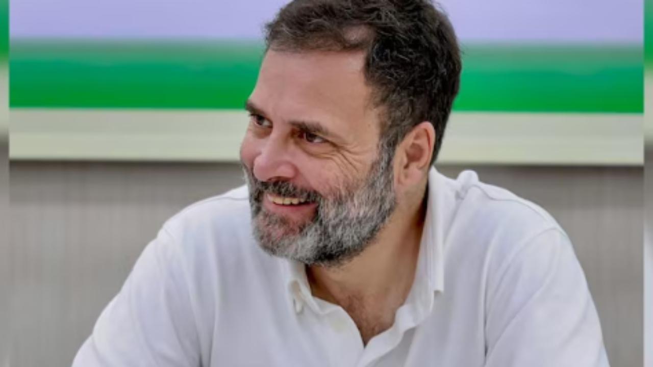 Congress held a press conference after the results of Lok Sabha elections.