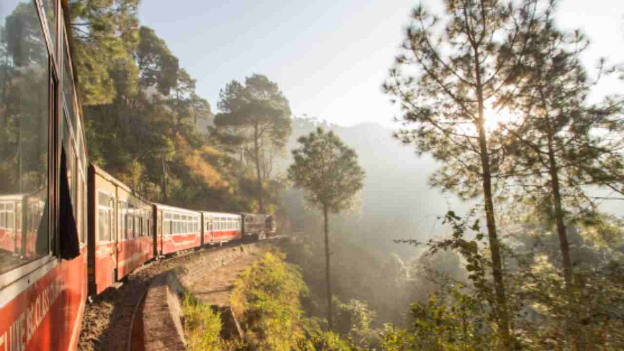 Beware those coming to Shimla
