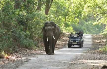गर्जिया रेंज
