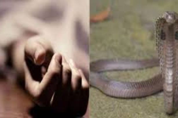 सांप के डसने से मौत