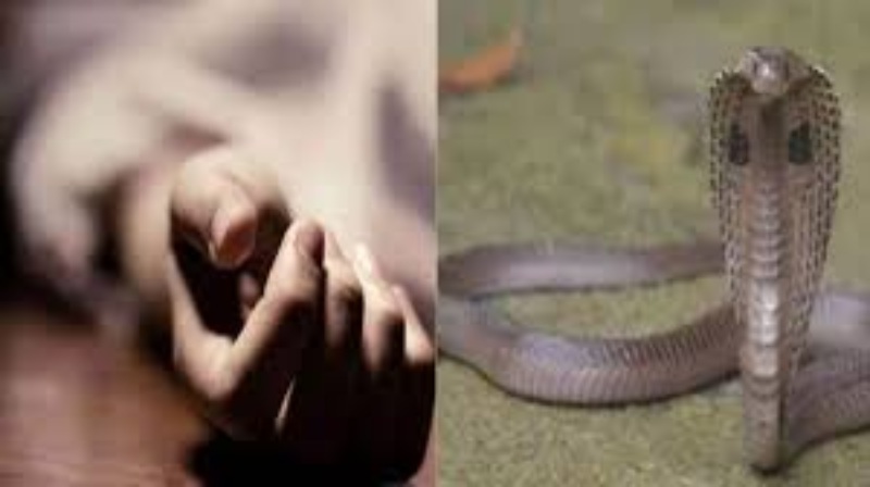 सांप के डसने से मौत