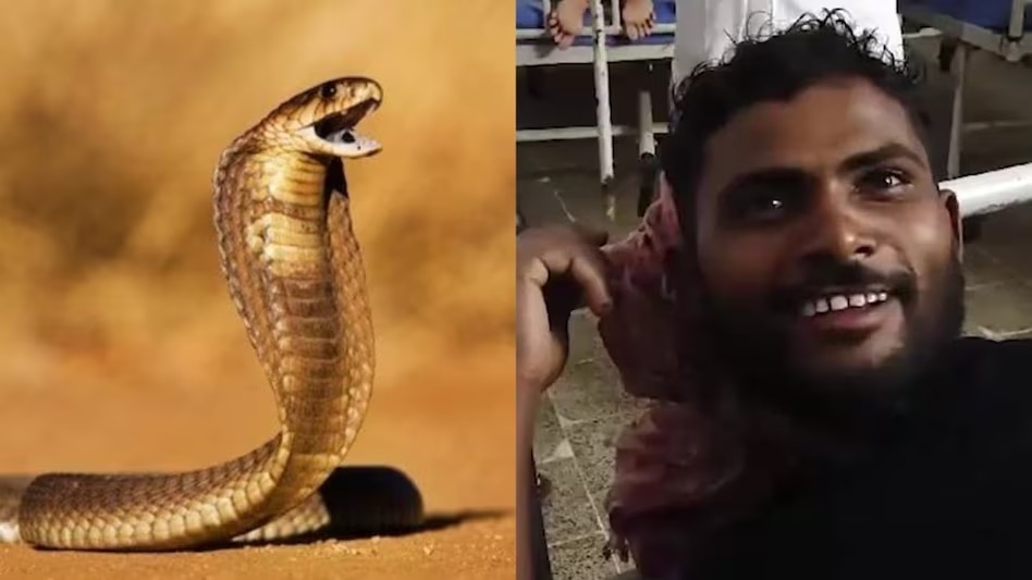 man bite snake-in bihar