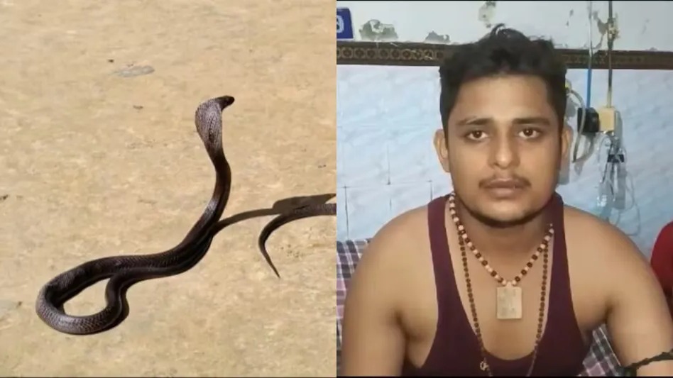 सांप Fatehpur-news man bitten by snake five times a month