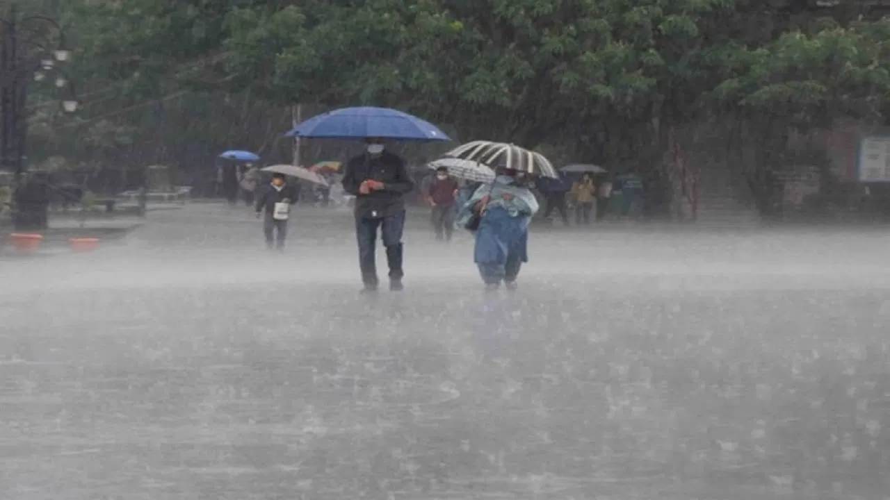 more rain than normal