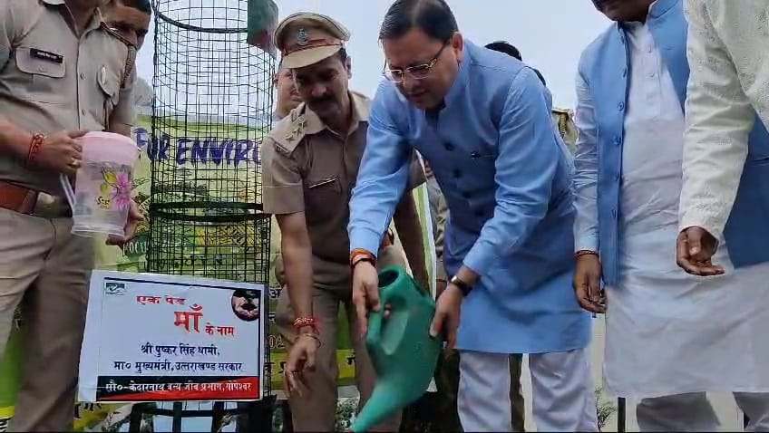 एक पेड़ मां के नाम