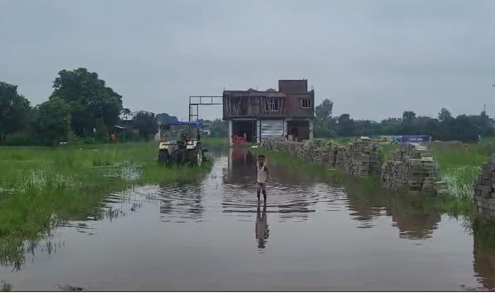 जलभराव दिनेशपुर