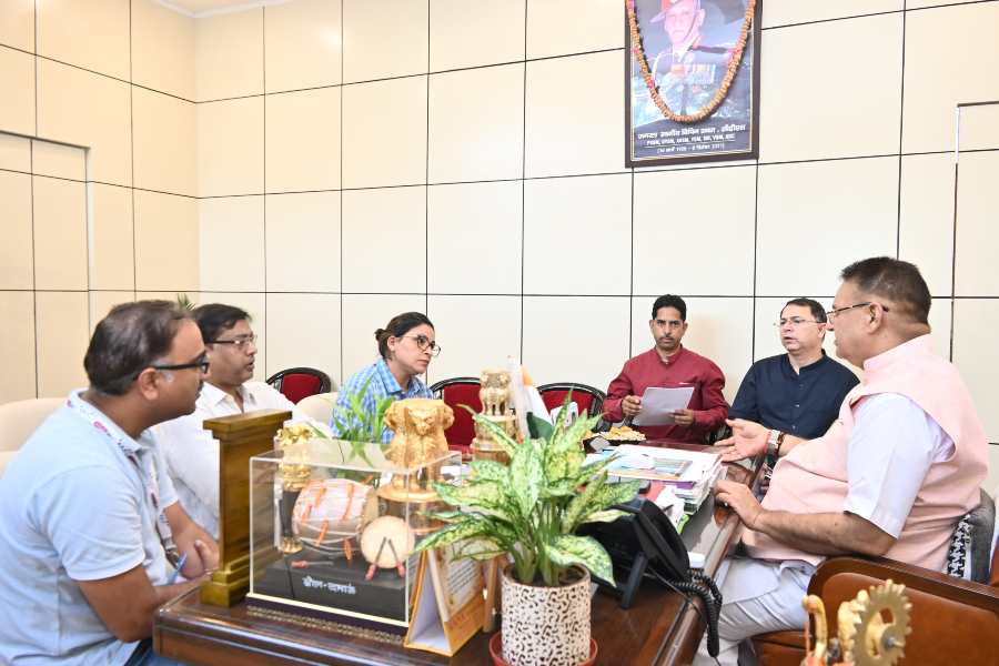 सेब बागवानी