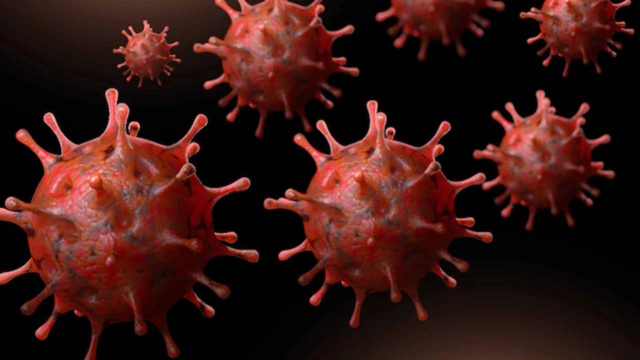 Spread in 27 countries, what are the symptoms of covid XEC variant?