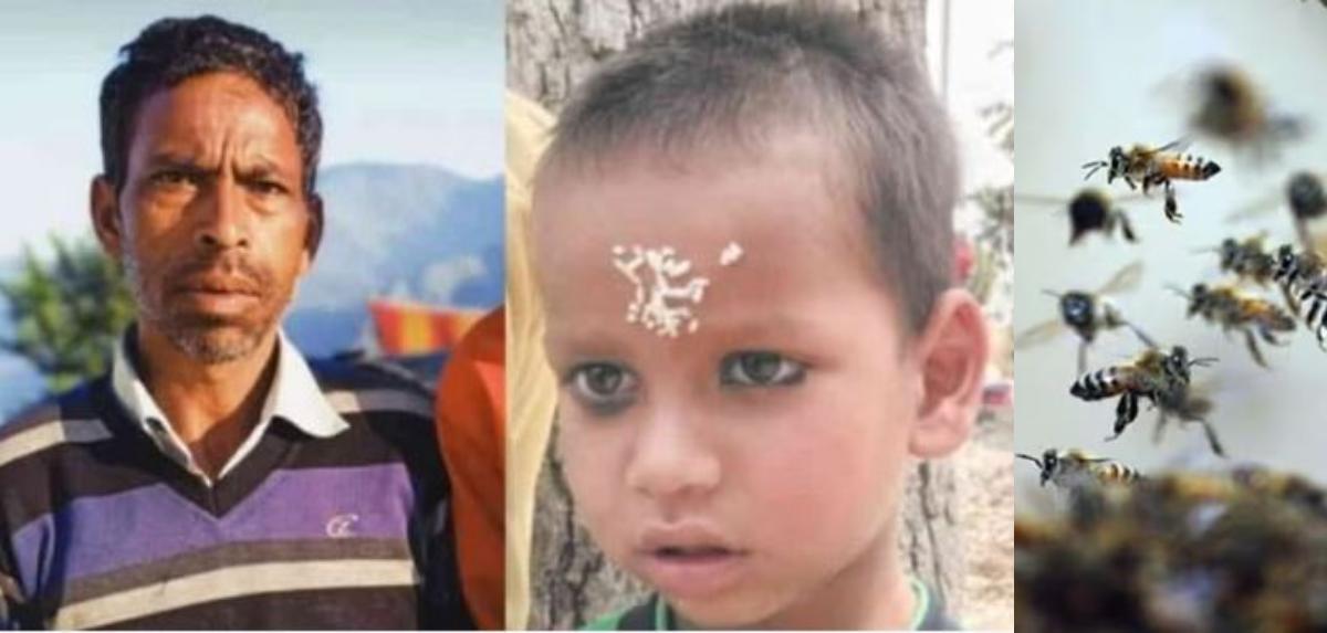 ततैया के काटने से पिता और पुत्र की दर्दनाक मौत, गांव में पसरा मातम