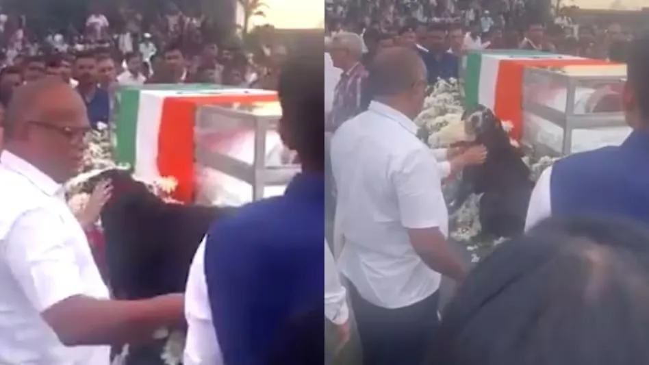 ratan tata dog goa paid tribute